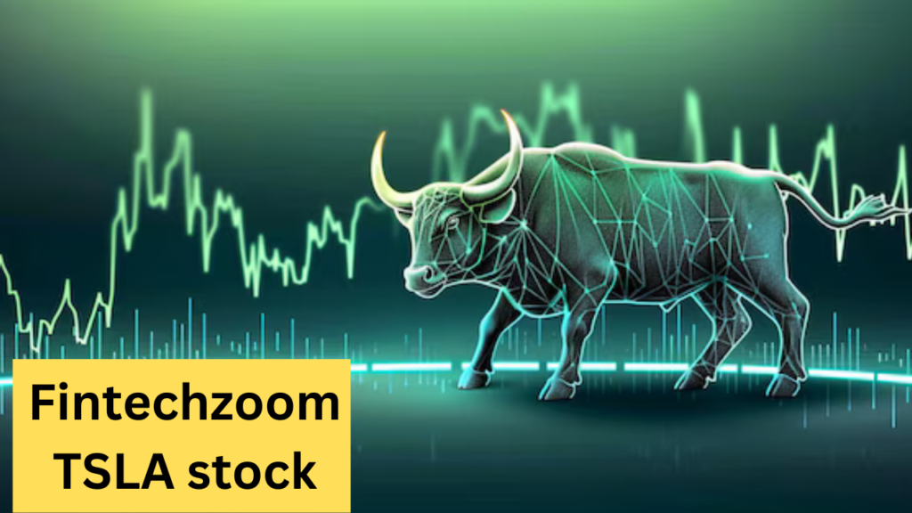 Fintechzoom TSLA stock